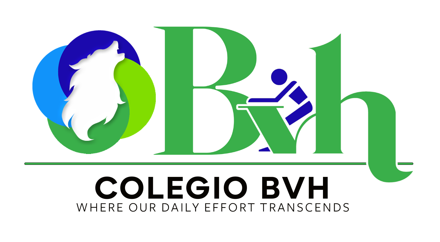 Colegio BVH